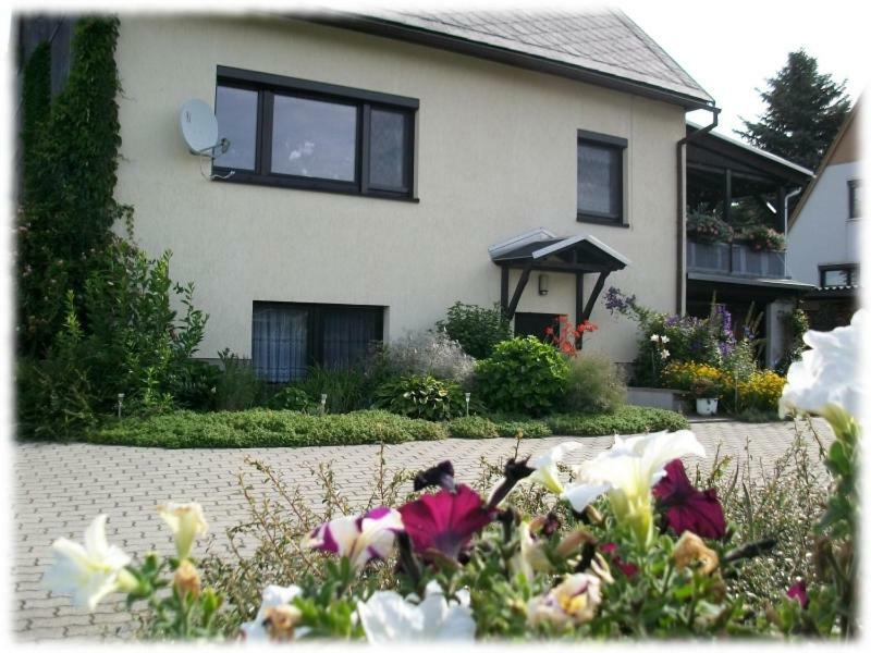 Appartamento Fewo Hoyer Hinterhermsdorf Esterno foto