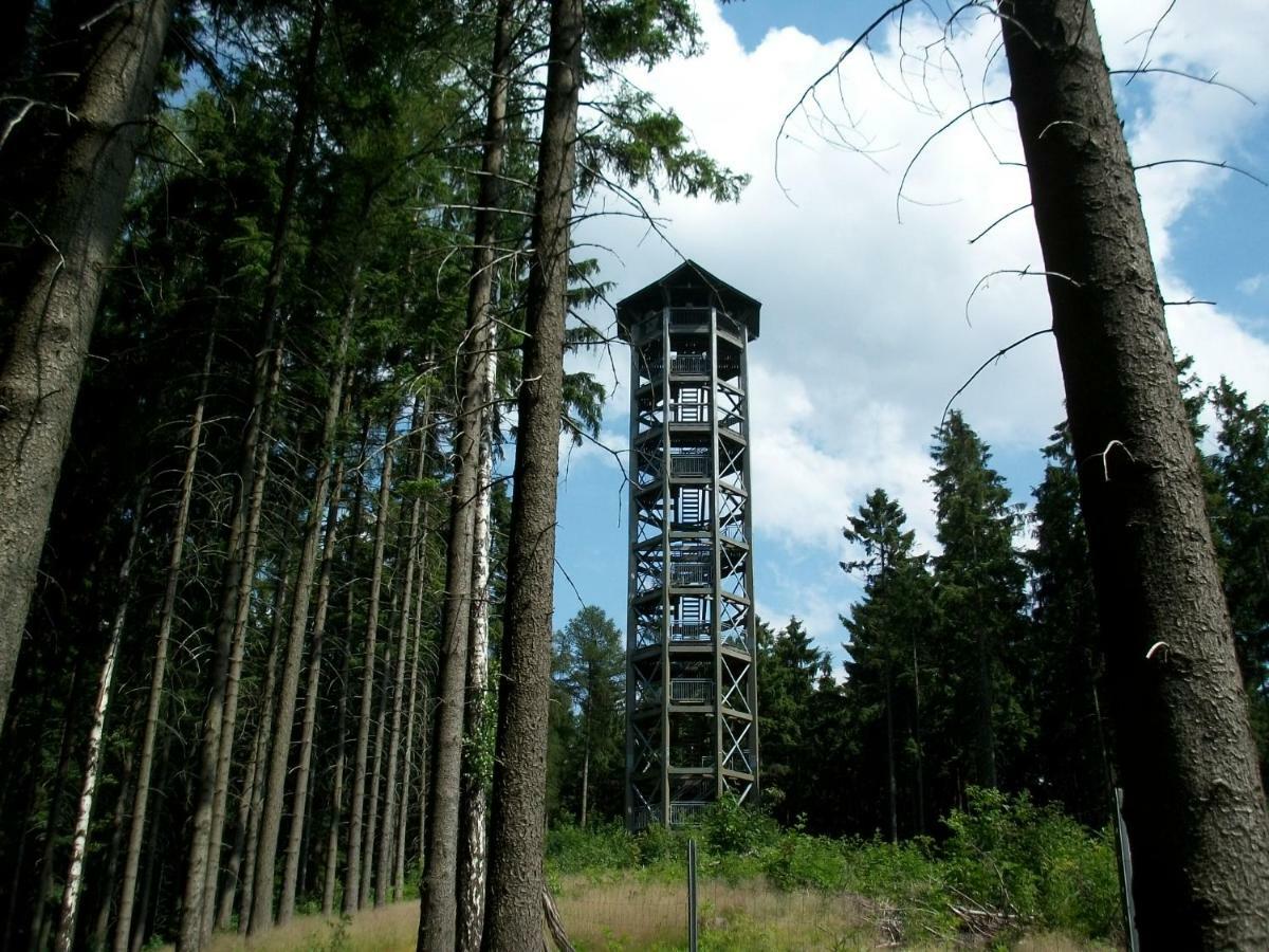 Appartamento Fewo Hoyer Hinterhermsdorf Esterno foto
