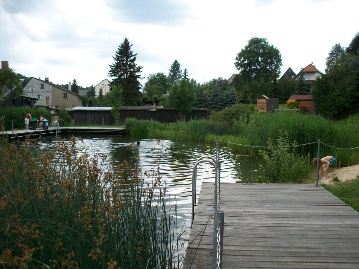 Appartamento Fewo Hoyer Hinterhermsdorf Esterno foto
