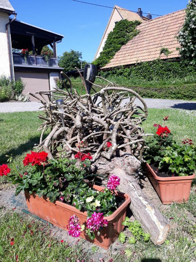 Appartamento Fewo Hoyer Hinterhermsdorf Esterno foto